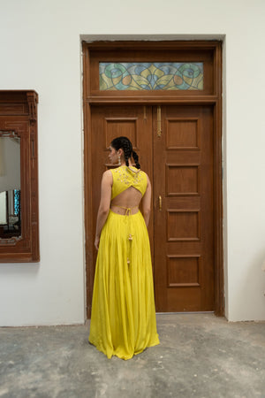 Citric Yellow High Low Anarkali