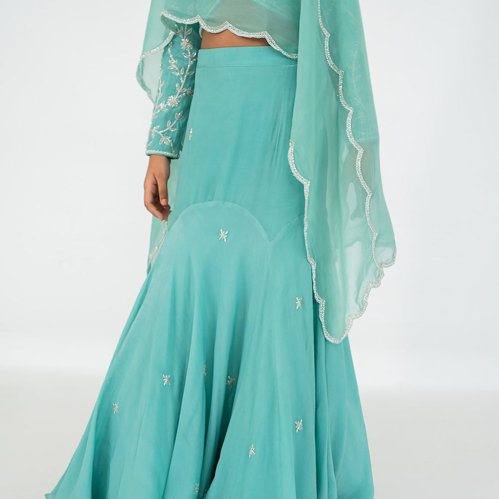 
                      
                        Dark Mint Blue Lehenga Set
                      
                    