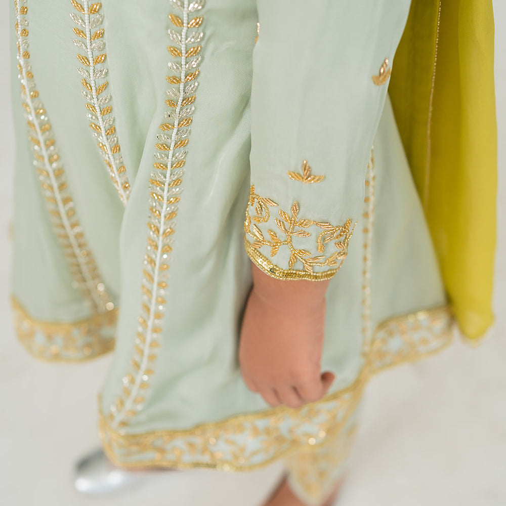 
                      
                        Light Mint Blue Anarkali Set
                      
                    