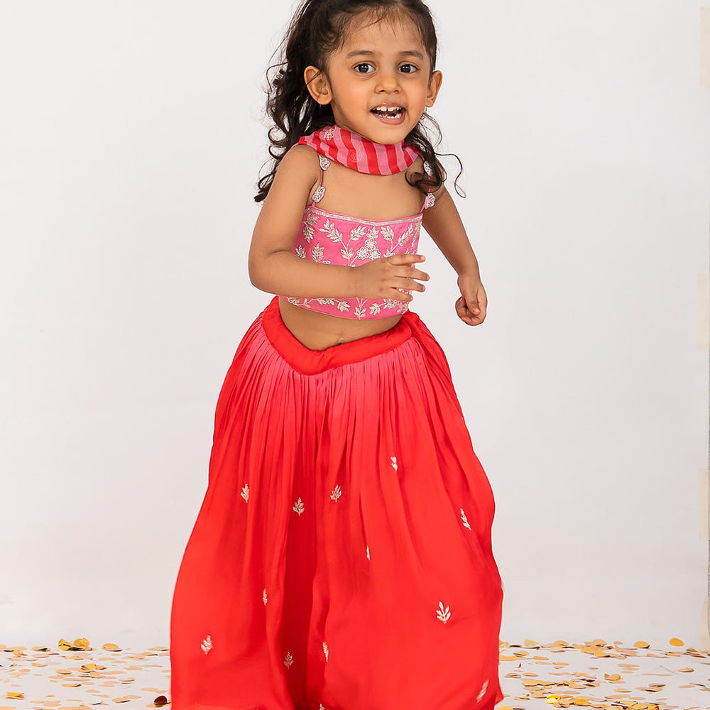 Red And Pink Stripes Top Lehenga Set