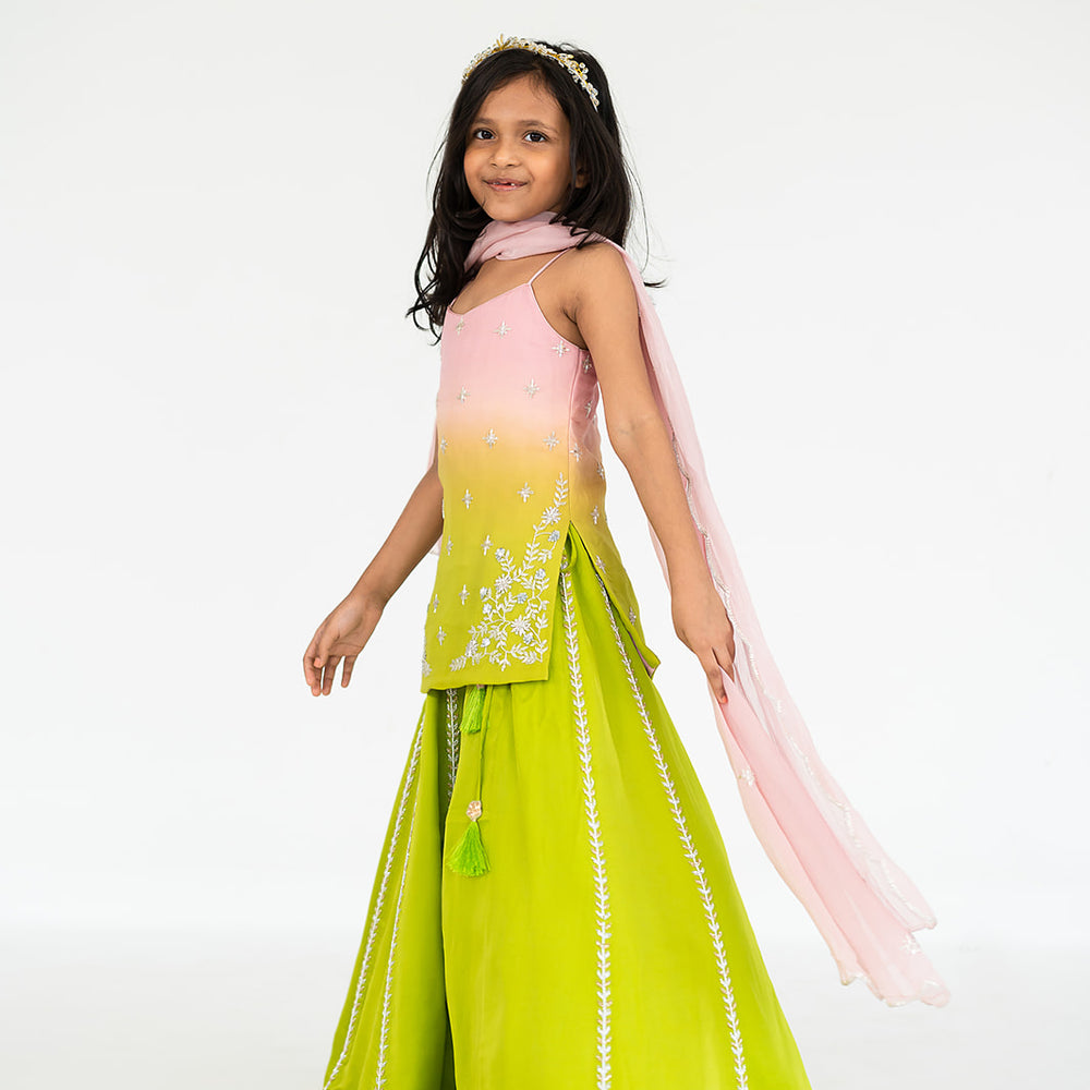 
                      
                        Light Pink To Parrot Green Lehenga Set
                      
                    