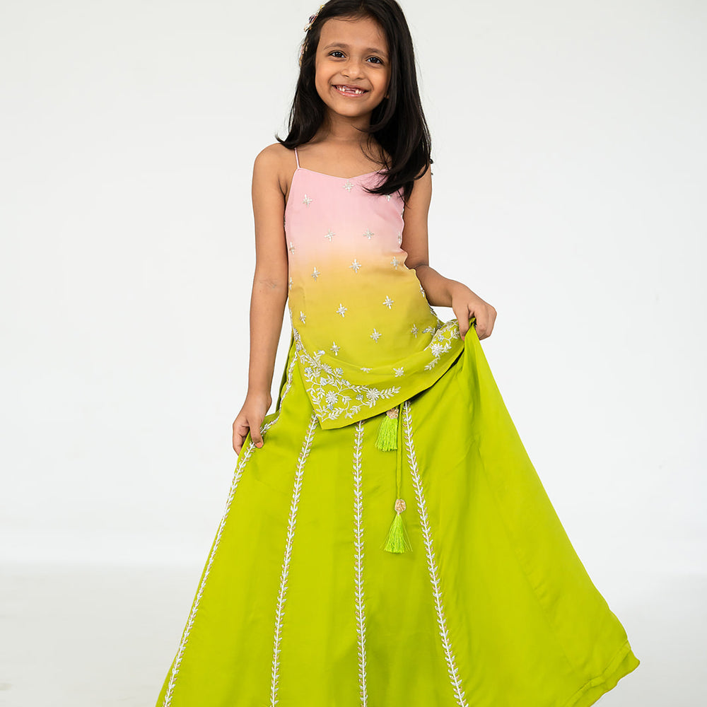 
                      
                        Light Pink To Parrot Green Lehenga Set
                      
                    