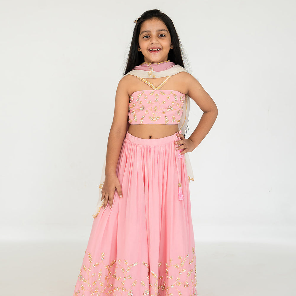 Light Pink Lehenga Set