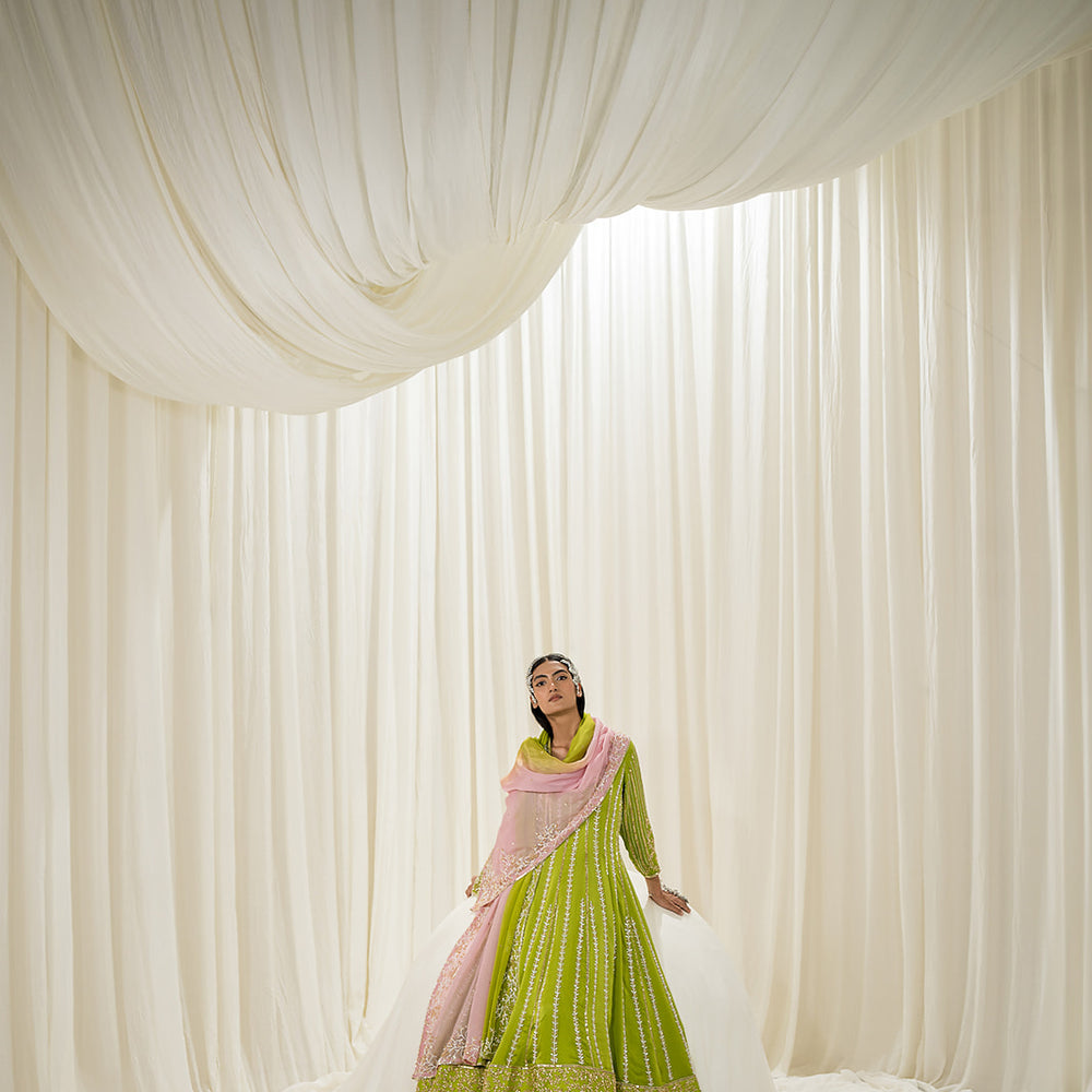 Parrot Green Anarkali