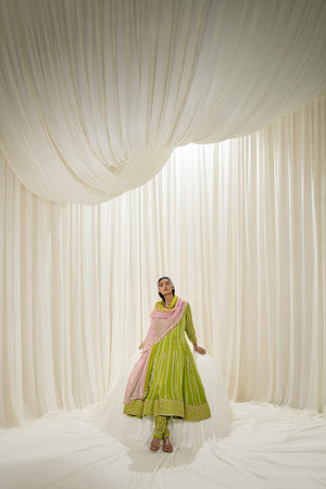 Parrot Green Anarkali