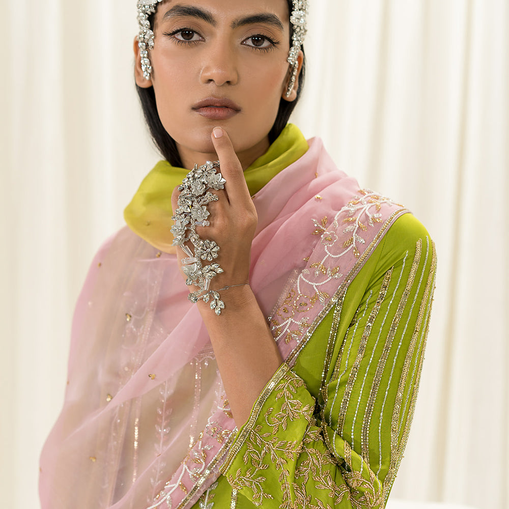 Parrot Green Anarkali