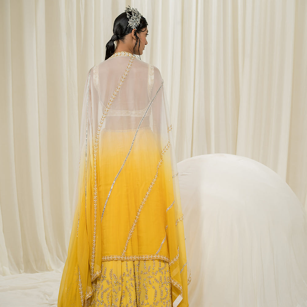 
                      
                        Yellow Lehenga
                      
                    
