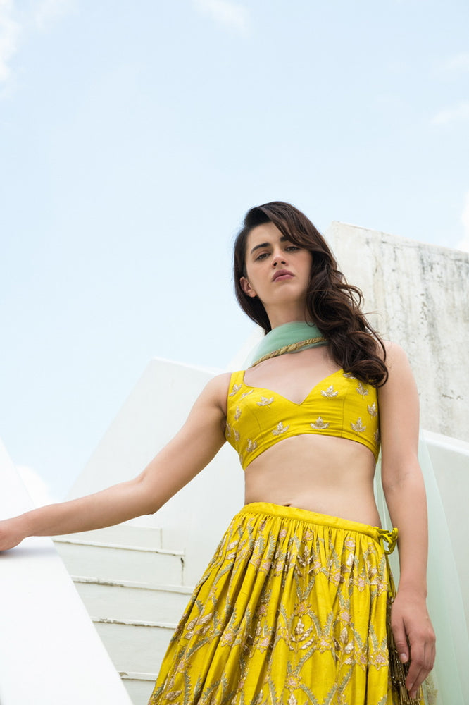 
                      
                        DAYDREAM LEHENGA
                      
                    