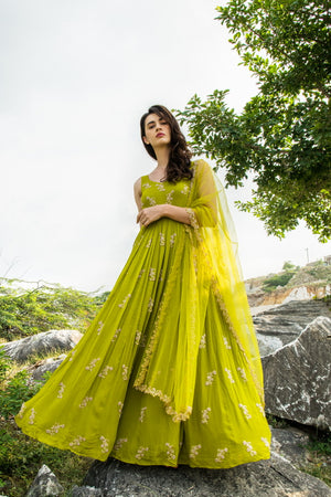 VERDURE ANARKALI