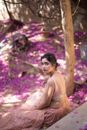 MAUVE LINE LEHENGA SET