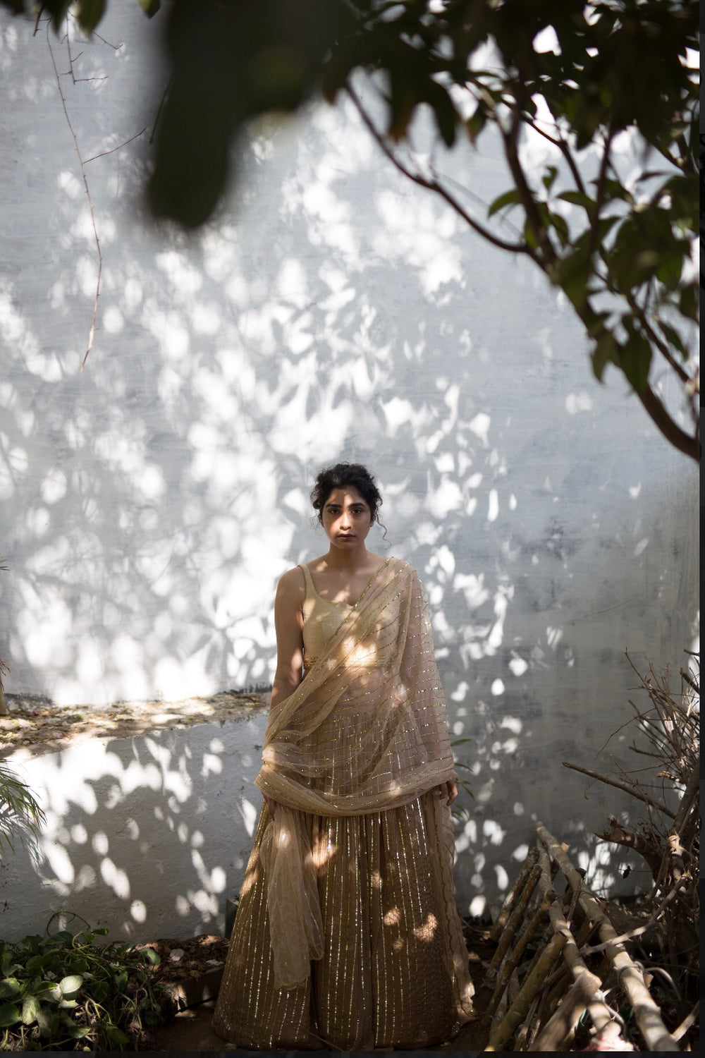 Beige Line Lehenga