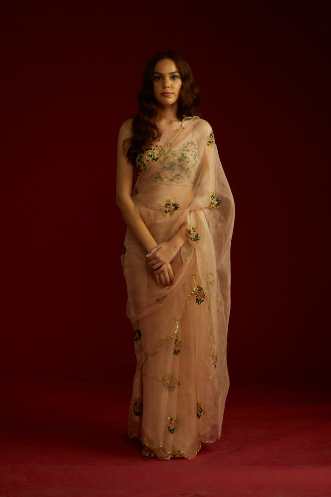 
                      
                        Bloom Saree
                      
                    