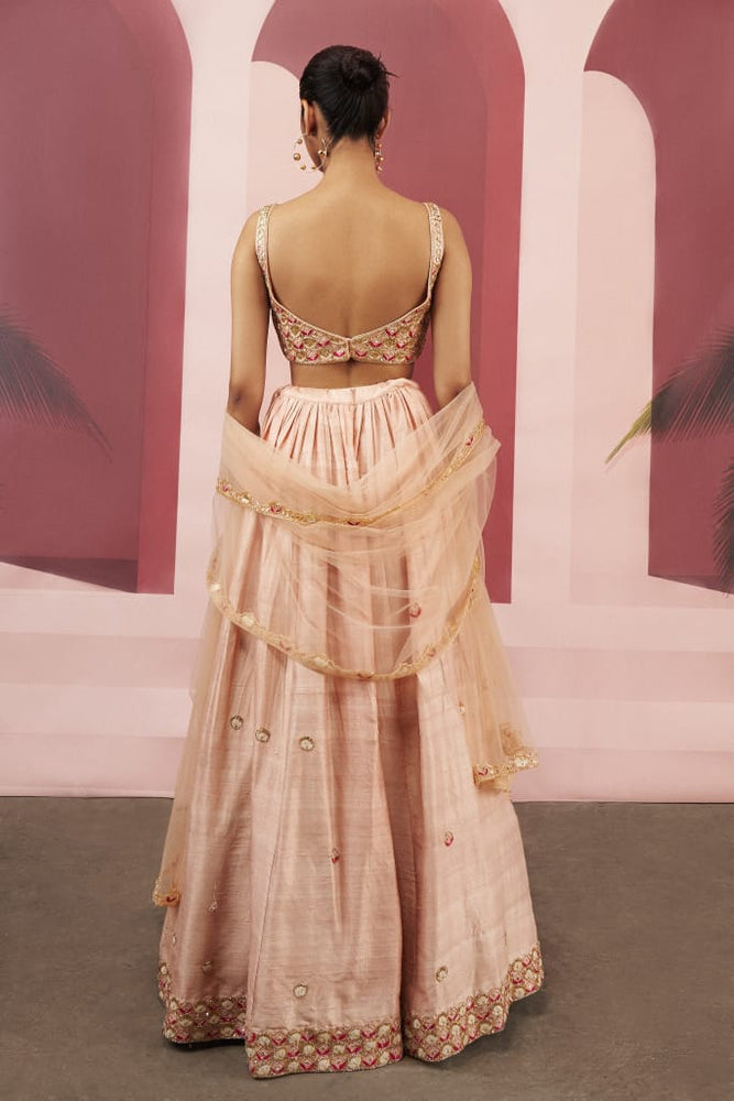 
                      
                        Dusty Pink Lehenga
                      
                    