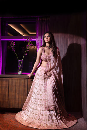 Sharmeila Mandre in Baby Pink Velvet Lehenga