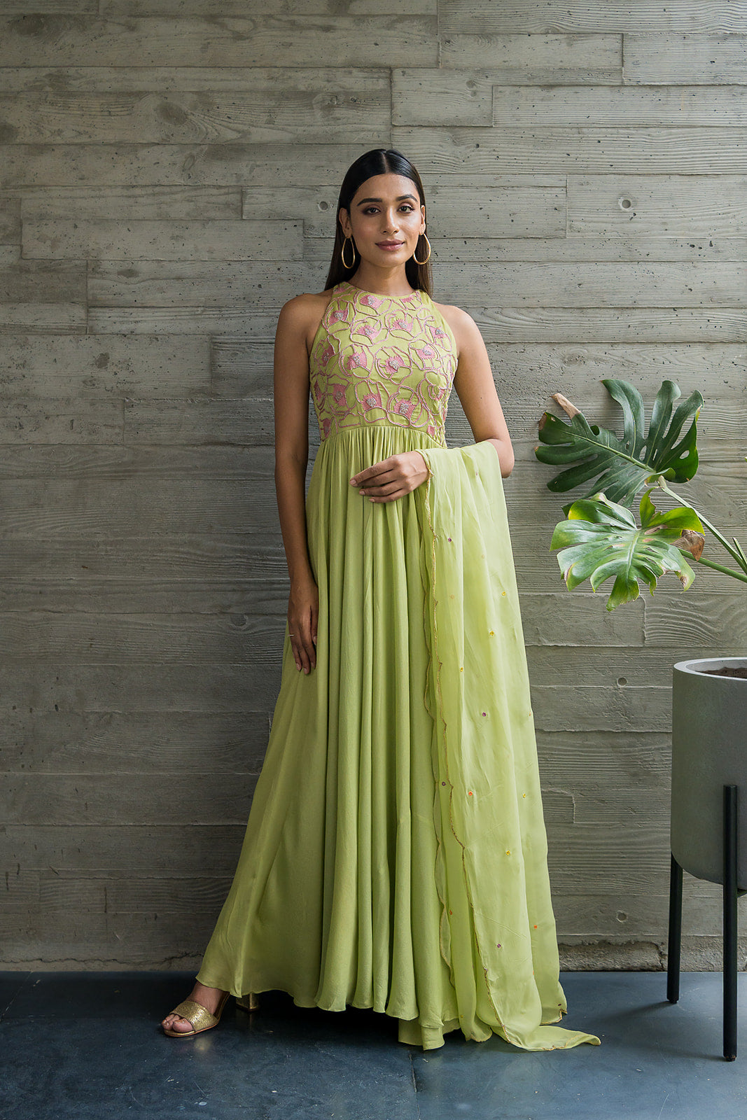 Pista Anarkali