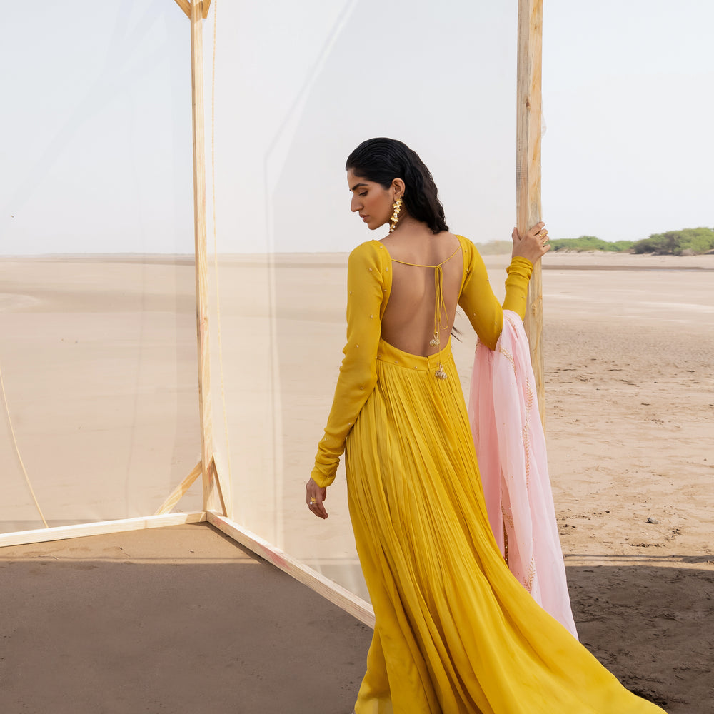 
                      
                        MUSTARD CHUDDI SLEEVES ANARKALI
                      
                    