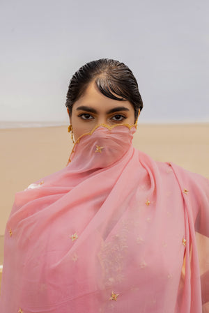 BABY PINK-LIME SHARARA SET